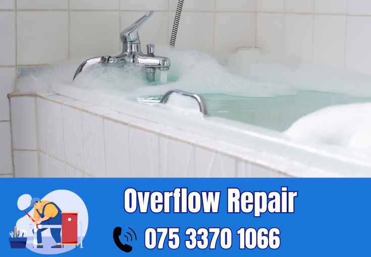 overflow repair Swale